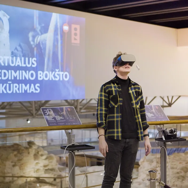 Multimedijų tendencijos Lietuvos viešajame ir verslo sektoriuose